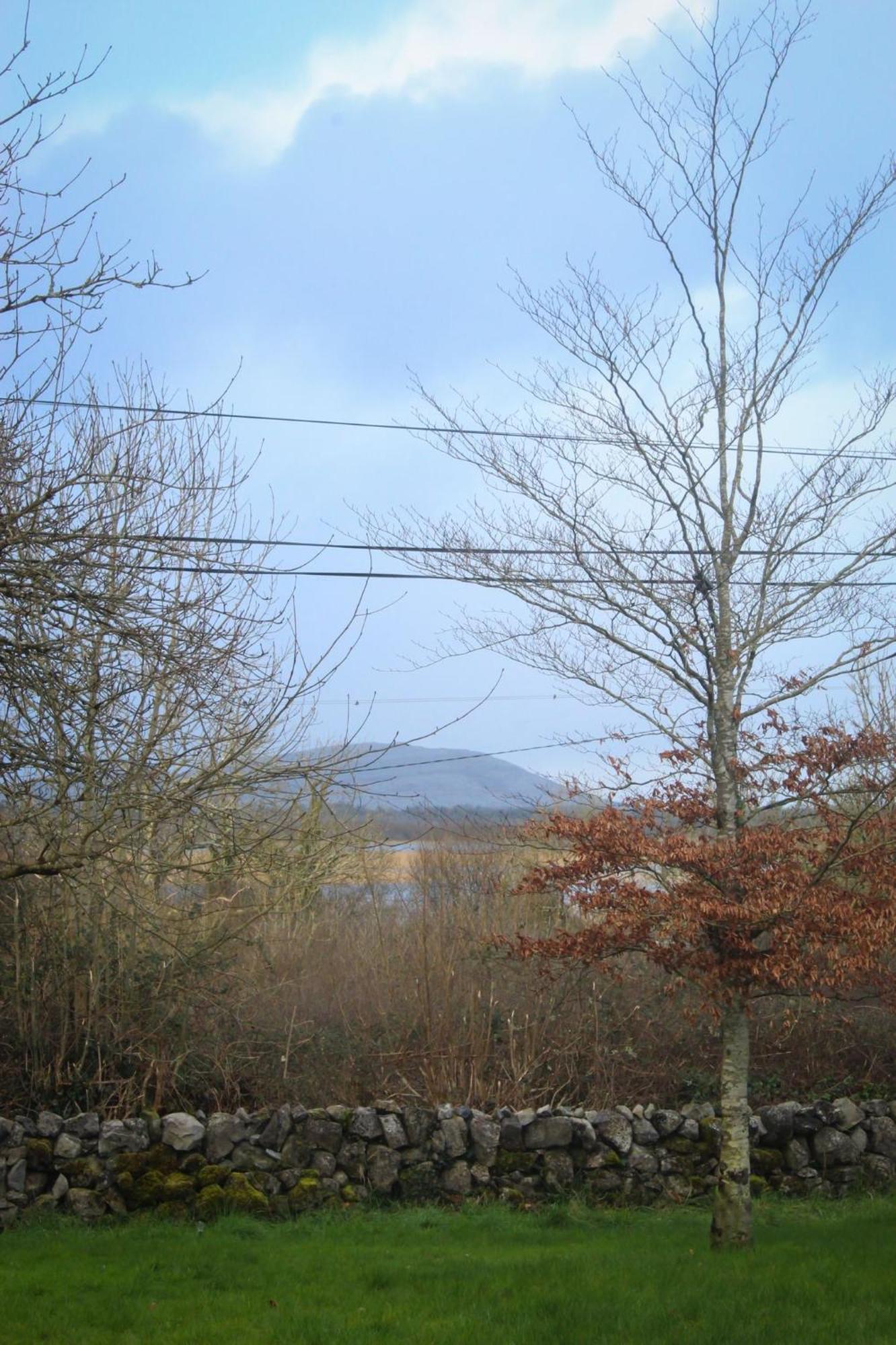 Riverside Cottage In The Burren Corofin  Exterior photo