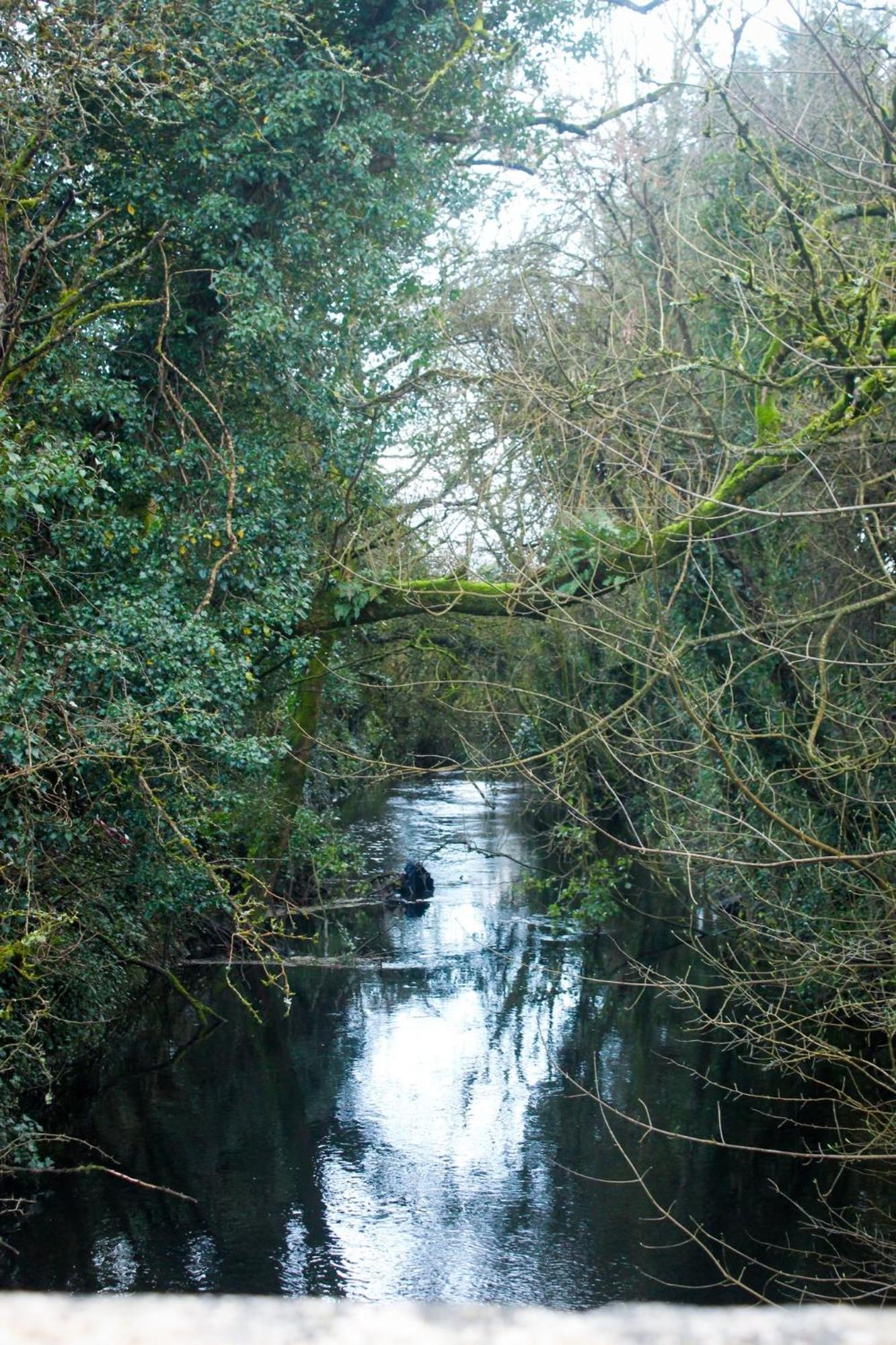 Riverside Cottage In The Burren Corofin  Exterior photo